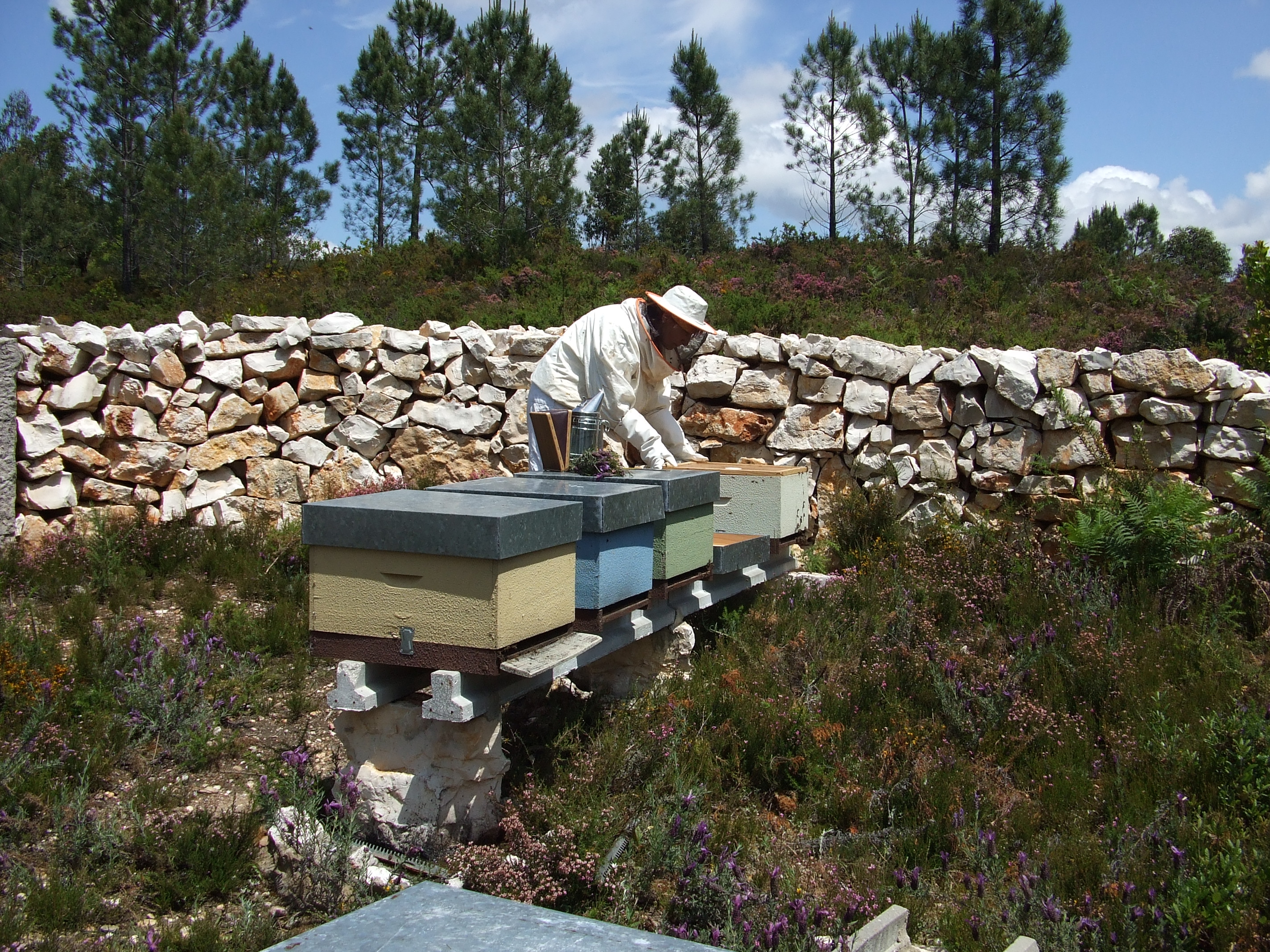 Política de Privacidade